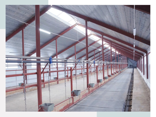 Строительство коровников в Тутаеве от 629 руб.