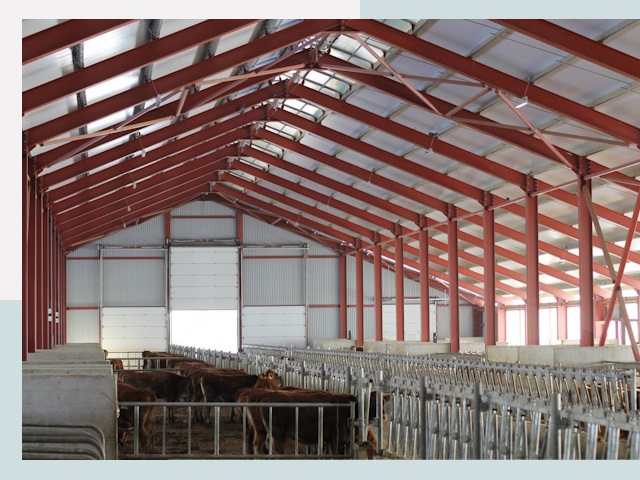 Строительство коровников в Тутаеве