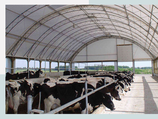 Тентовые коровники в Тутаеве